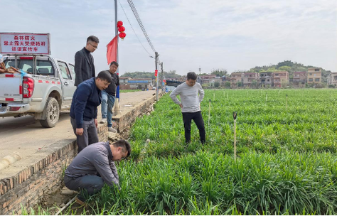 蔬菜所与地方农技推广机构开展科技特派员对接工作_广东省农业科学院